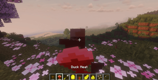 eating-duck-meat.png