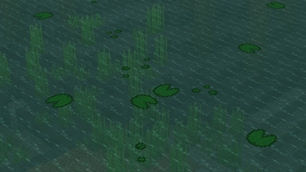 More Lily Pads