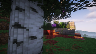 Birch trees now also look amazing 🪻