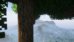 A huge oak tree overlooking the forests – full of round trees 🌳