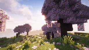 Some beautiful cherry trees 🌸