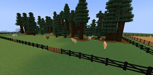 Screenshot 2025-08-25 164922.png