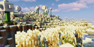 A view