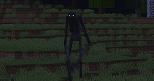 Country Road Creature stalks