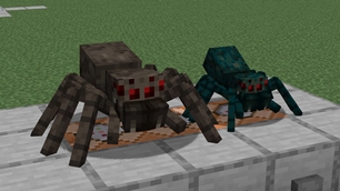 Spider Edit