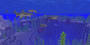 Sharks in the ocean