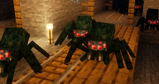 Cave Spiders