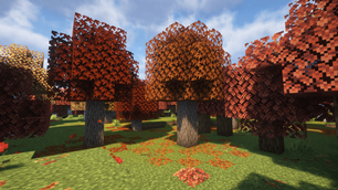2025-09-16_18.29.02-min.png