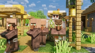 More Villagers