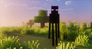 Enderman