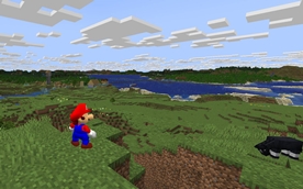 Super Mariocraft 64
