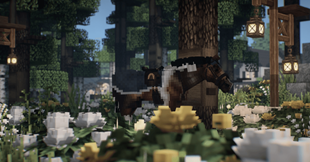 PHOTO BY HAYLEYKOPTER