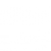 Next Project Preview