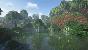 Swamp