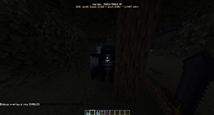 Debug overlay