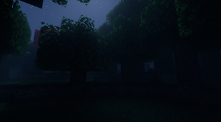 Growling Man Watching