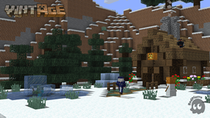 Snowy Plains