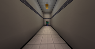 SCP 008