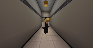 SCP 527