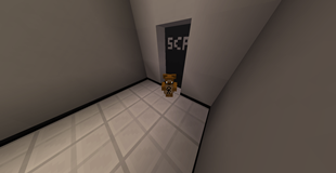 SCP 1048