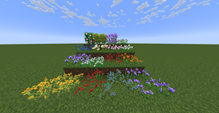 Some flowers (Old)