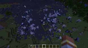 Abundant seaborns getting together