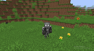 Knight
