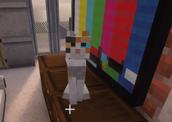 Discord_TltTUnjjAq.png