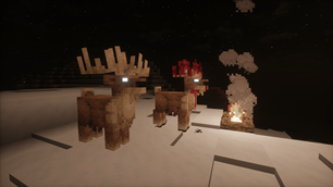 Deers