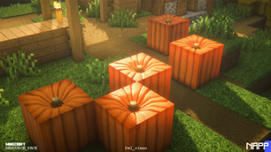 pumpkins.png