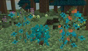 Plants