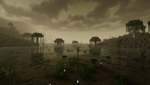 Swamp