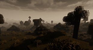 wooded wastland