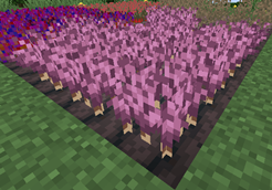 LavaCrops2.png