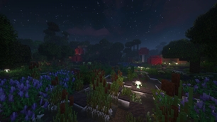Swamp at Night
