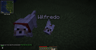 Pet names