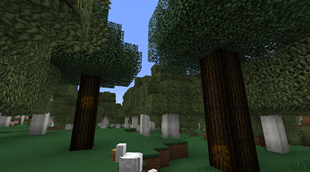 Rubber Trees from TechReborn