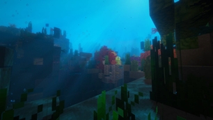 Coral Reef