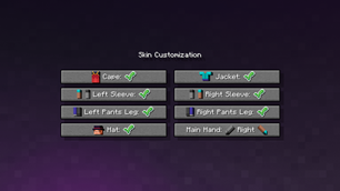 Skin Customization