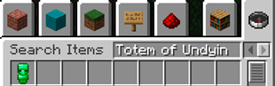 Totem in inventory