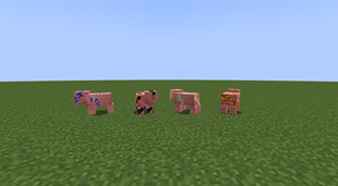 Pig Entities