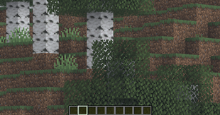 Zoom.png