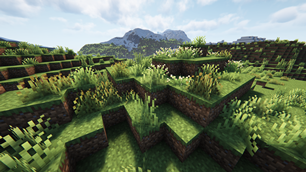 Grass on Mountain