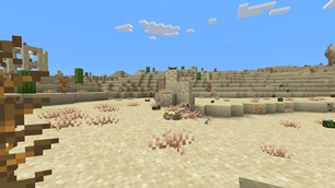 The Desert