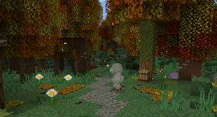 campfire respite on a forest trail