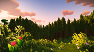 Terrain