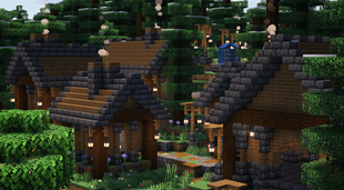 Villages