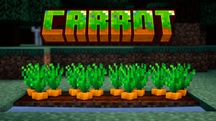 carrot.png
