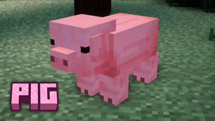 pig.png