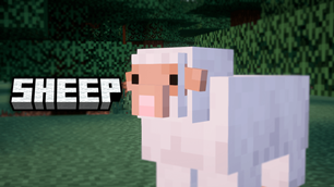 sheep.png